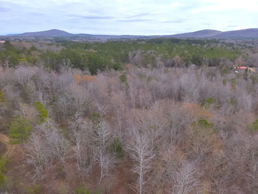 0 Cove Shocco Road Talladega AL 35160