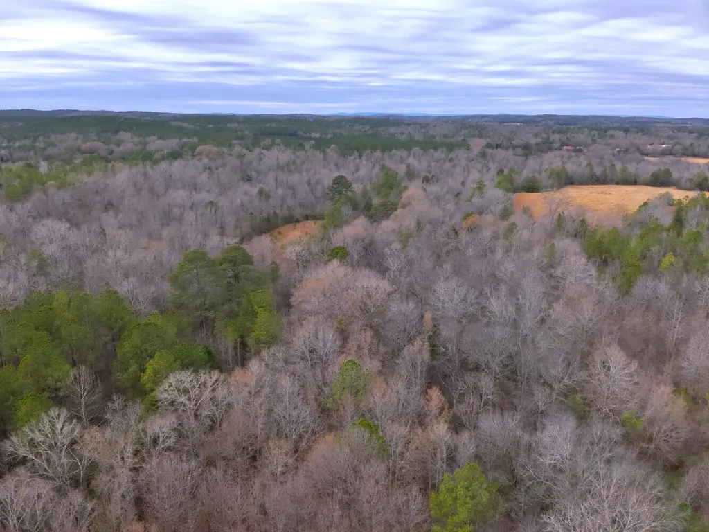 0 Cove Shocco Road Talladega AL 35160