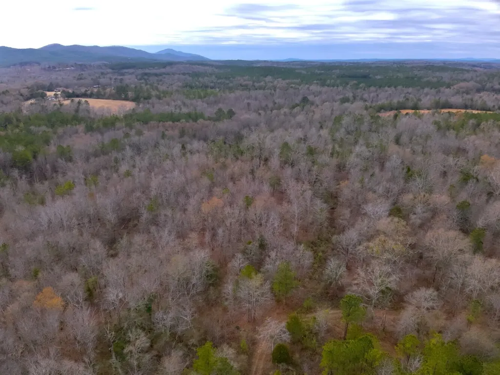 0 Cove Shocco Road Talladega AL 35160