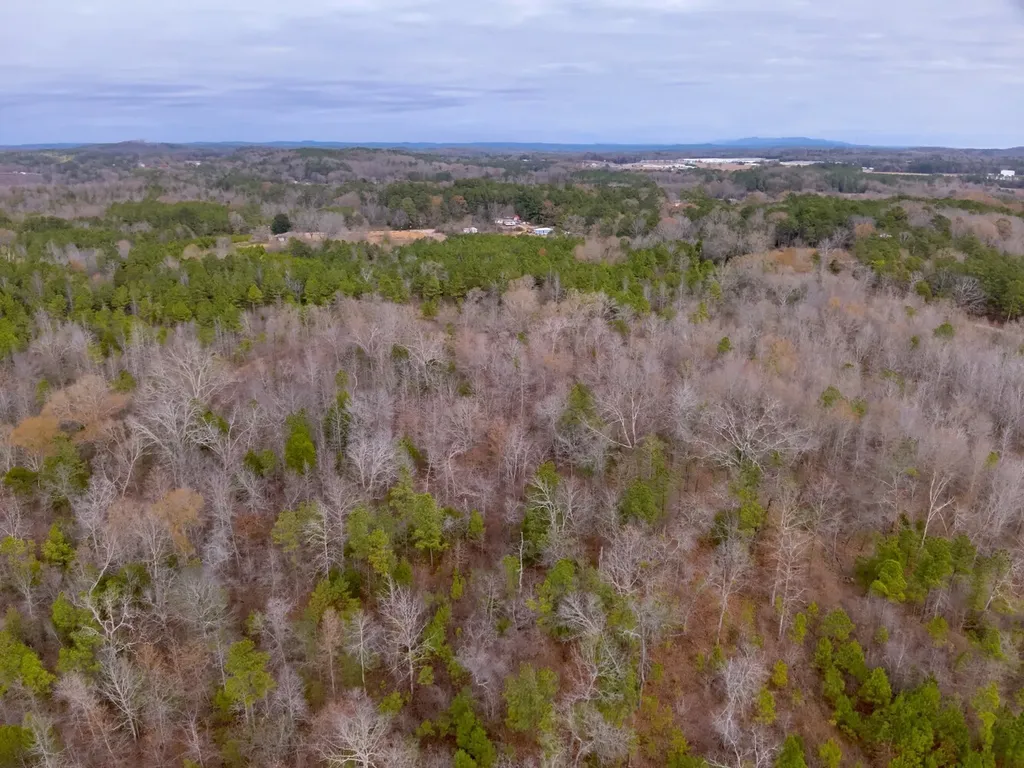 0 Cove Shocco Road Talladega AL 35160