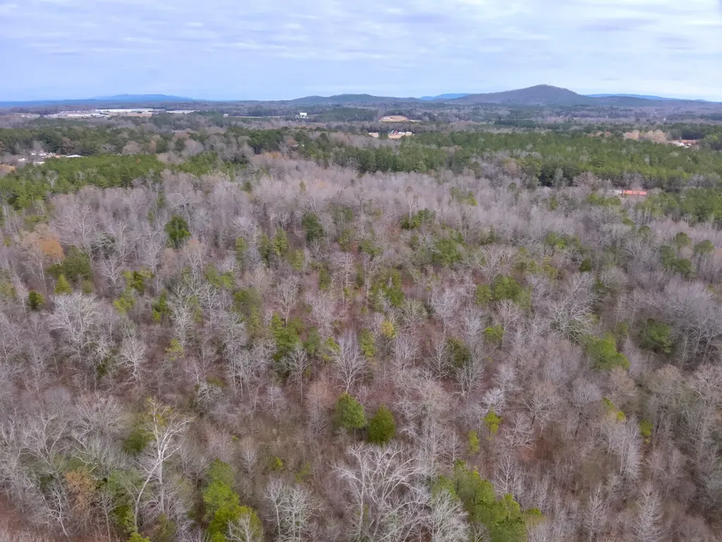 0 Cove Shocco Road Talladega AL 35160