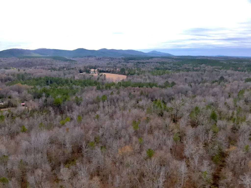 0 Cove Shocco Road Talladega AL 35160