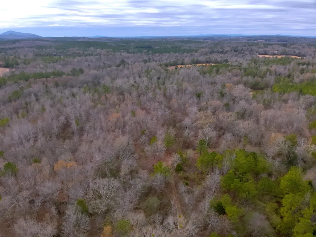 0 Cove Shocco Road Talladega AL 35160