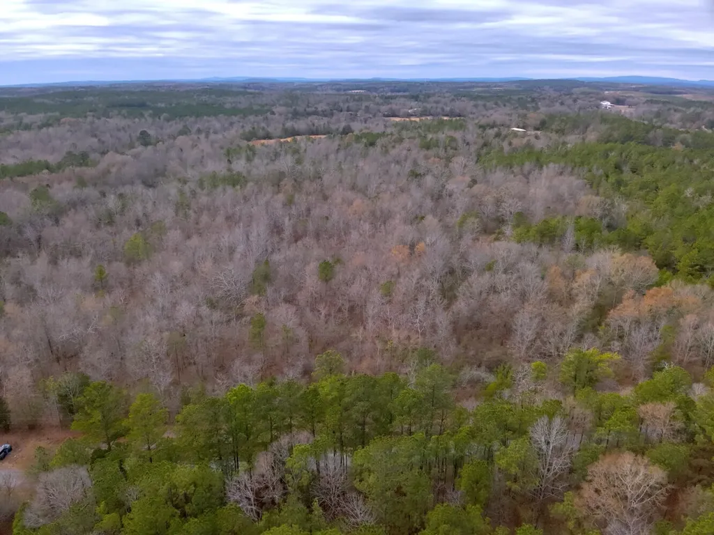 0 Cove Shocco Road Talladega AL 35160