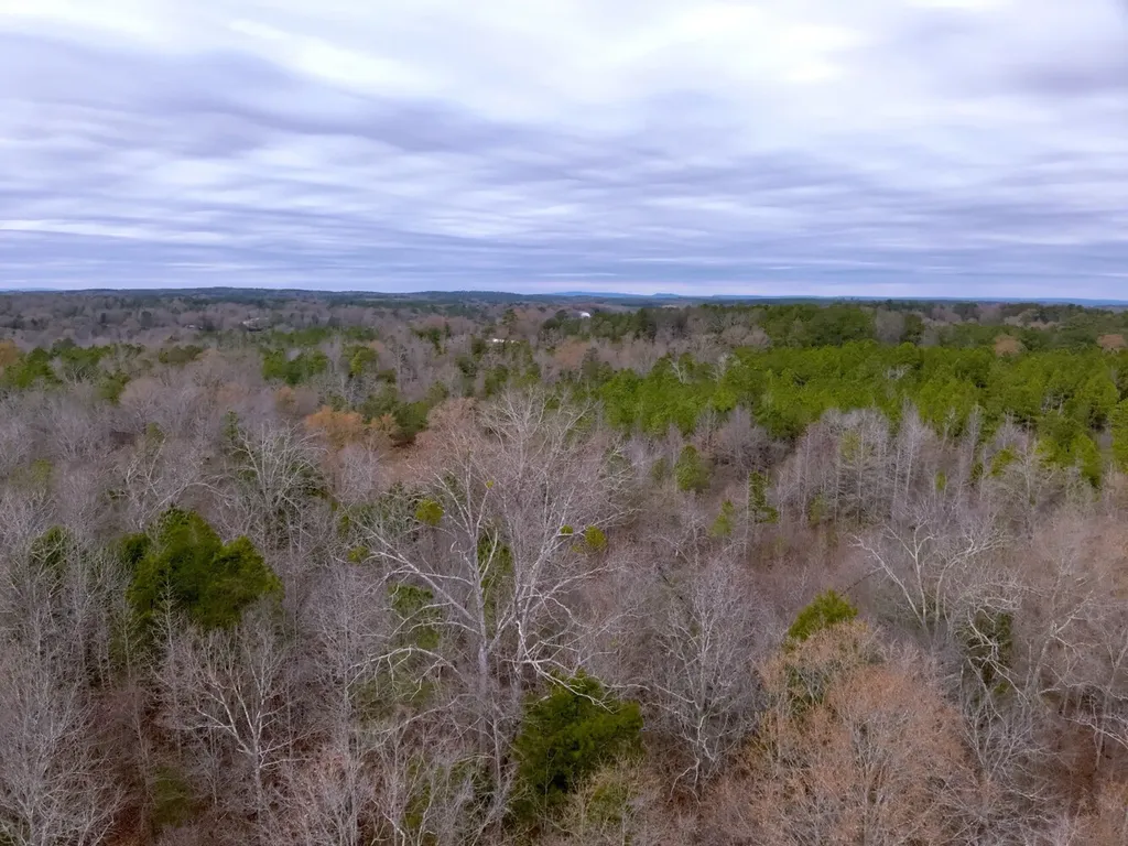 0 Cove Shocco Road Talladega AL 35160