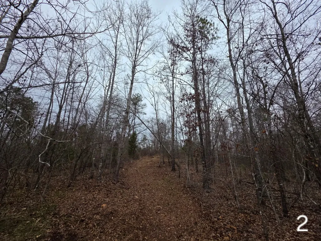 0 Cove Shocco Road Talladega AL 35160