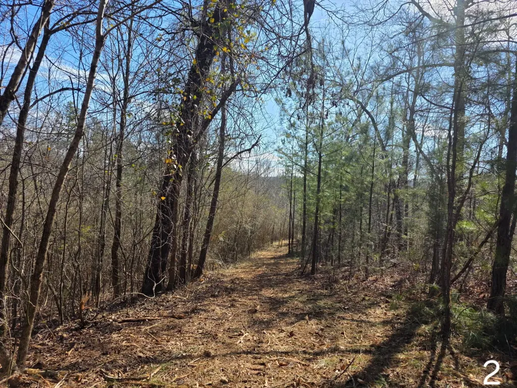 0 Cove Shocco Road Talladega AL 35160