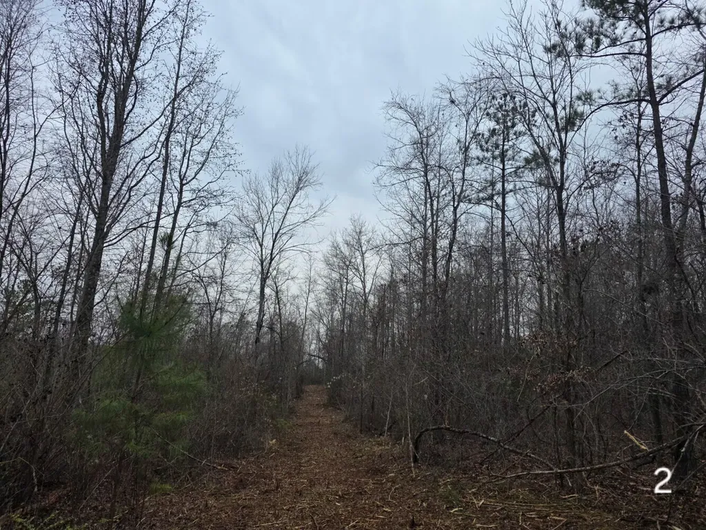 0 Cove Shocco Road Talladega AL 35160