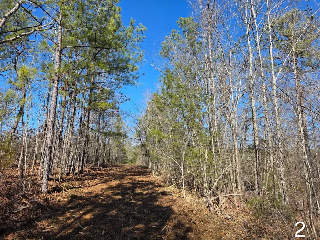 0 Cove Shocco Road Talladega AL 35160