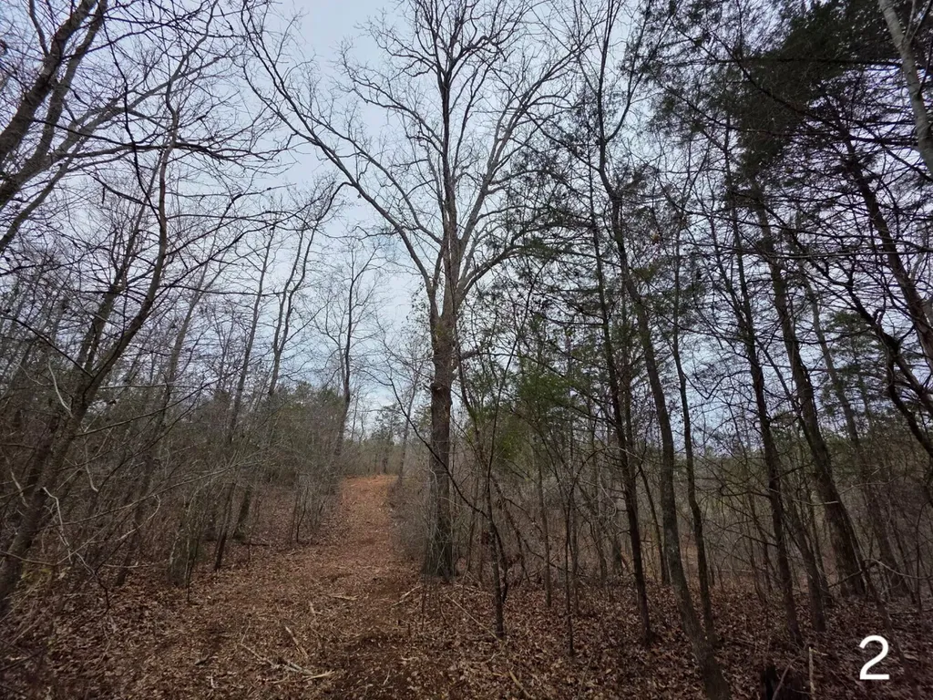 0 Cove Shocco Road Talladega AL 35160