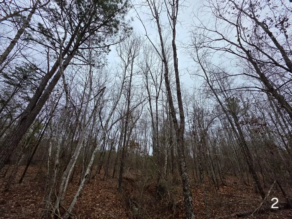 0 Cove Shocco Road Talladega AL 35160