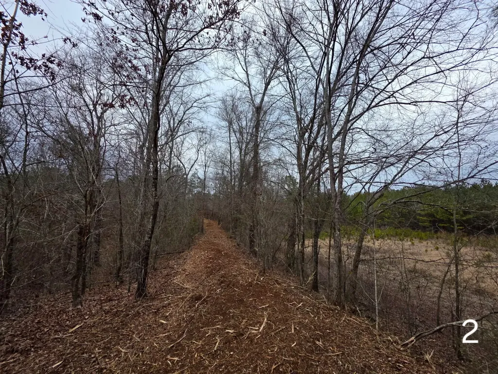 0 Cove Shocco Road Talladega AL 35160