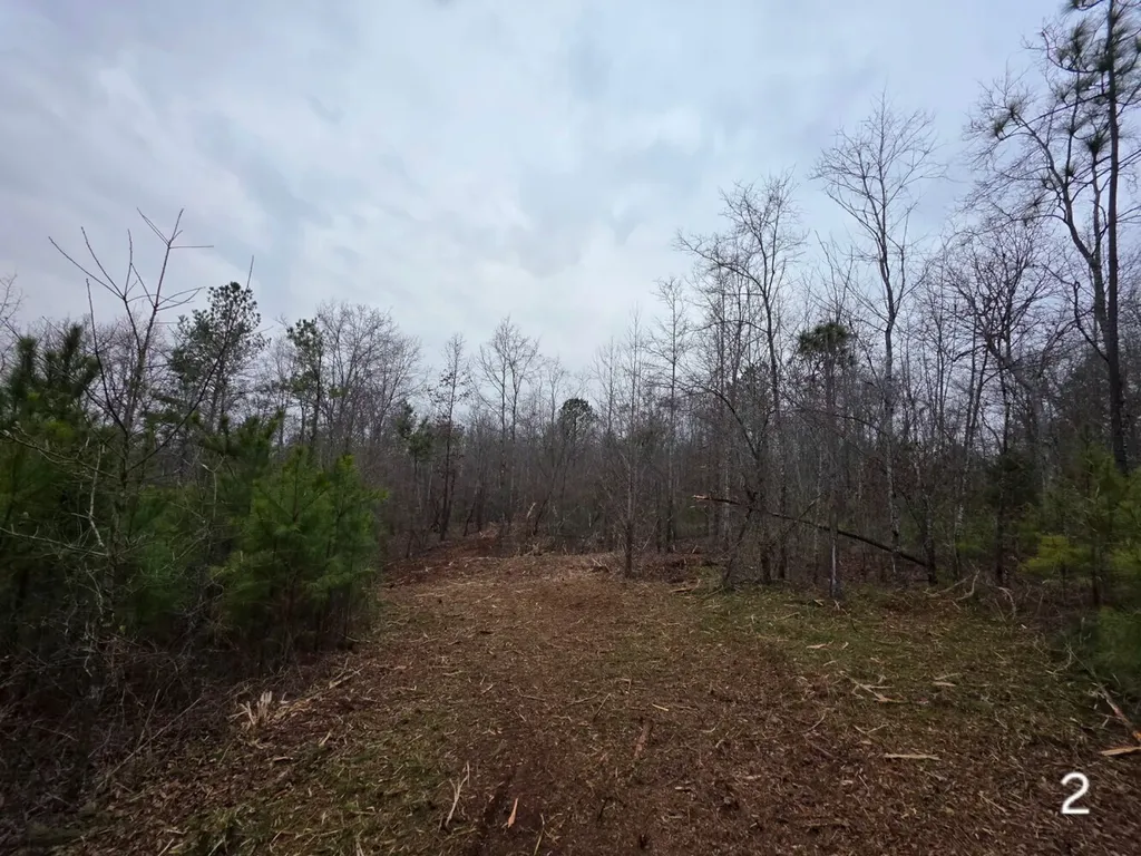 0 Cove Shocco Road Talladega AL 35160
