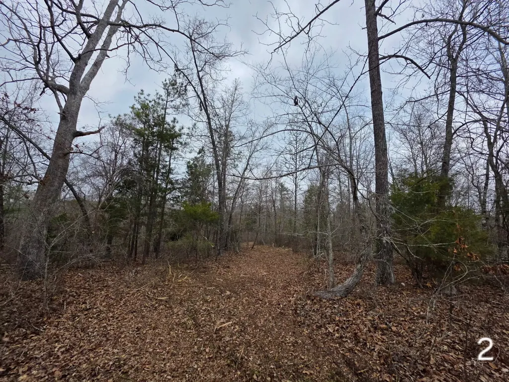 0 Cove Shocco Road Talladega AL 35160