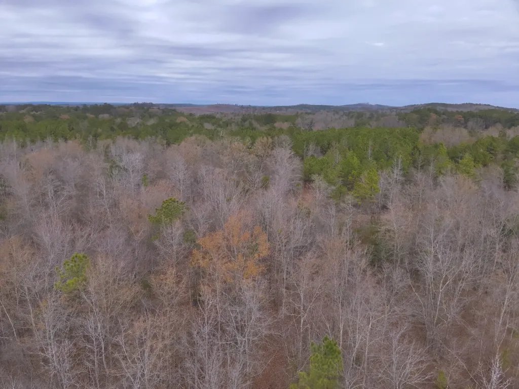 0 Cove Shocco Road Talladega AL 35160