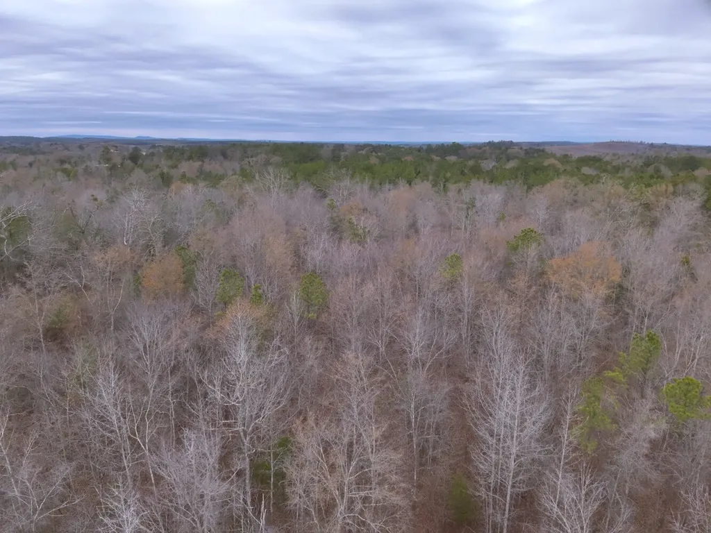 0 Cove Shocco Road Talladega AL 35160