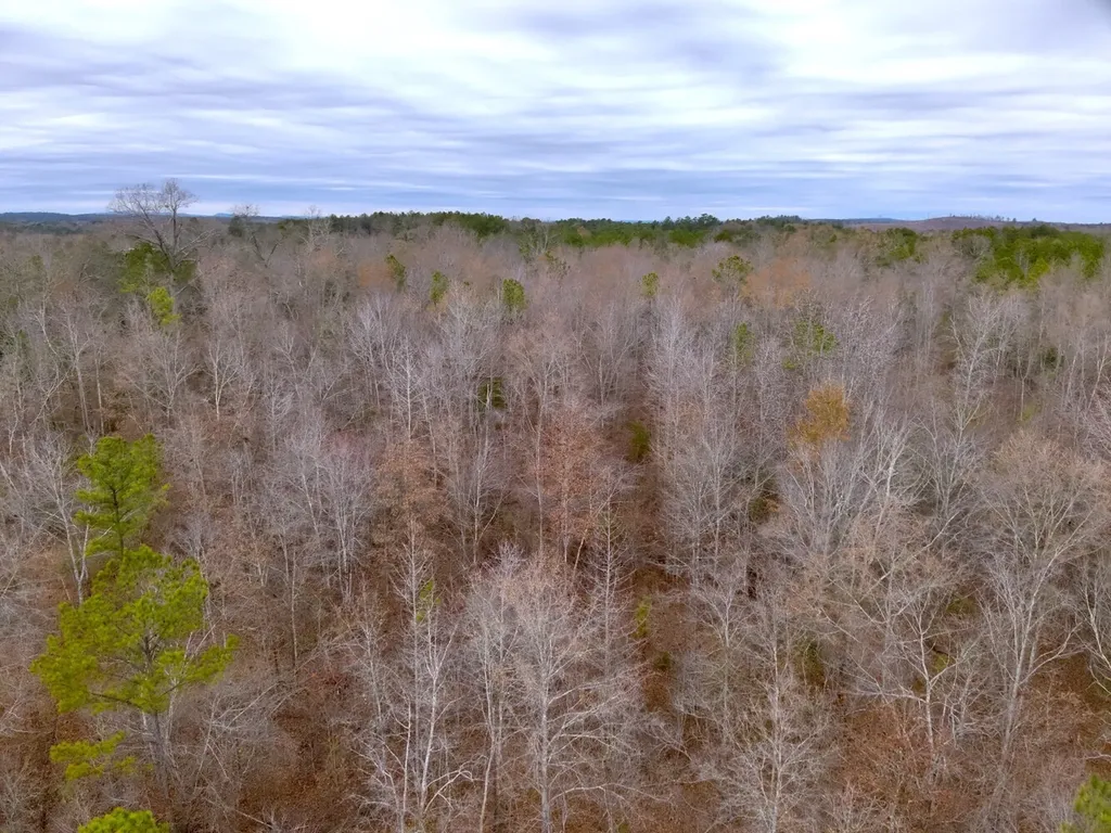 0 Cove Shocco Road Talladega AL 35160