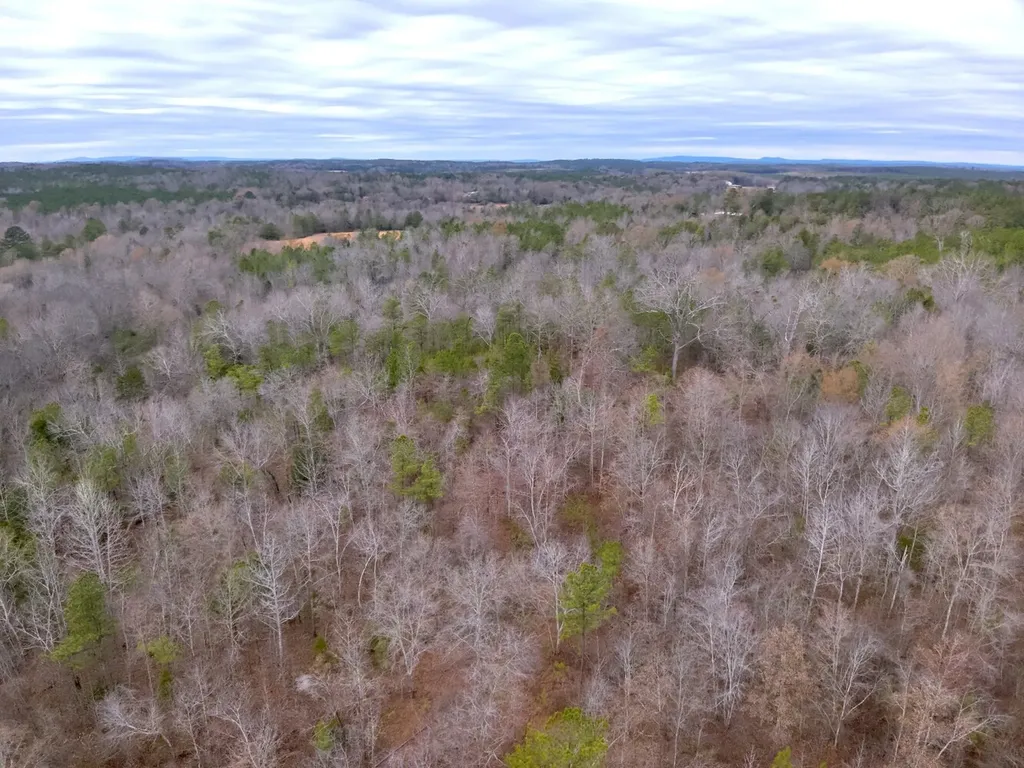 0 Cove Shocco Road Talladega AL 35160