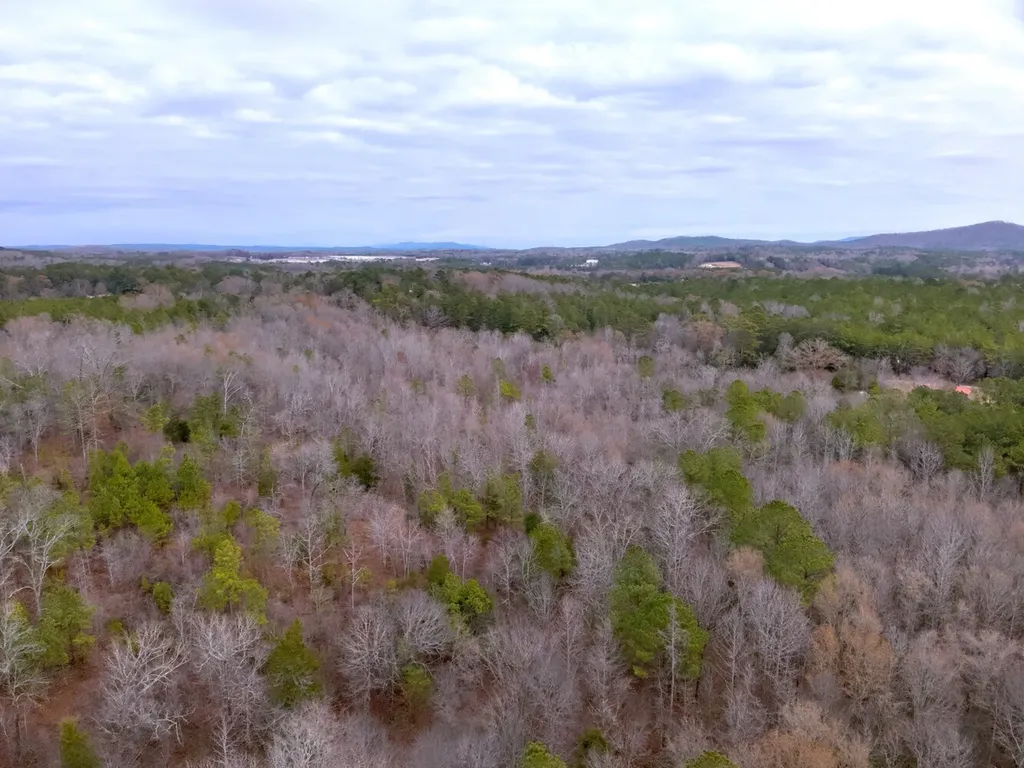 0 Cove Shocco Road Talladega AL 35160