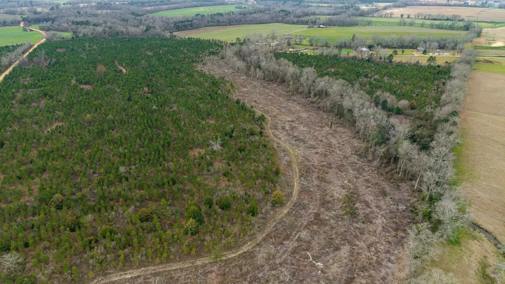 O Chestnutt Road Slocomb AL 36375
