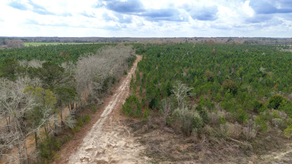 O Chestnutt Road Slocomb AL 36375
