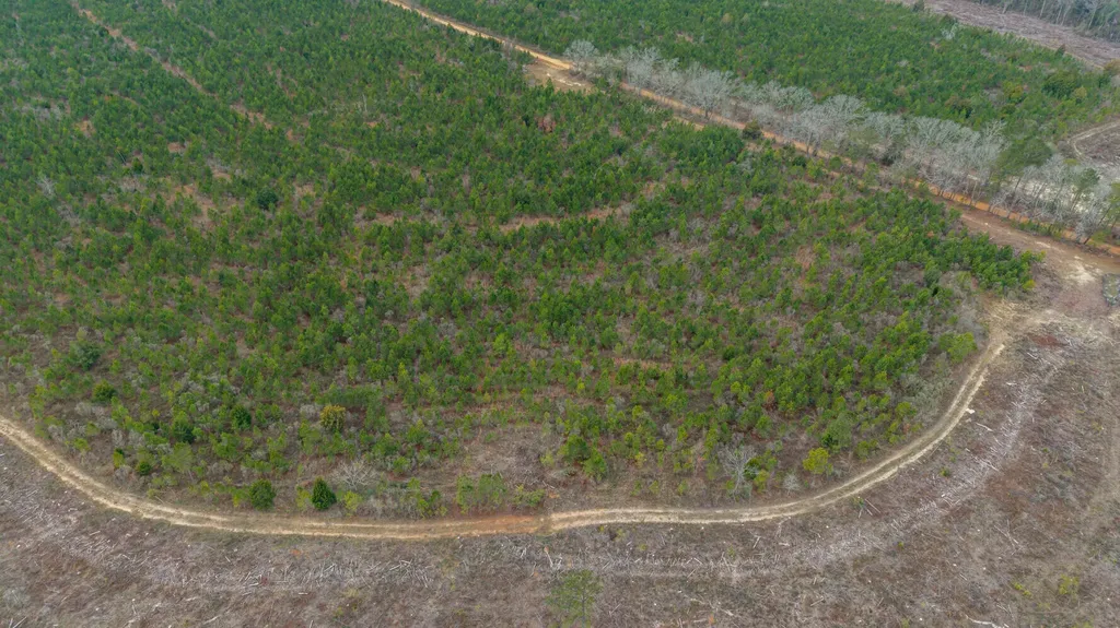 O Chestnutt Road Slocomb AL 36375