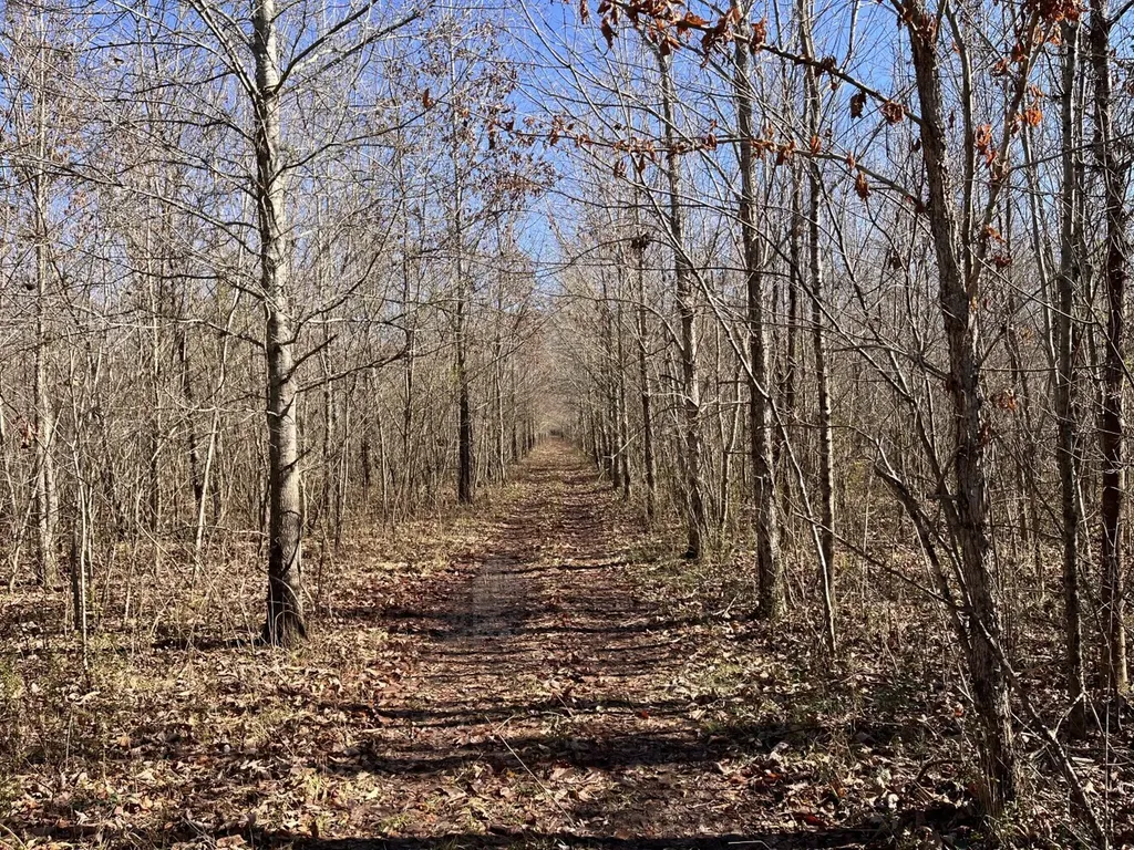 0 Highway 65 Swaim AL 35766