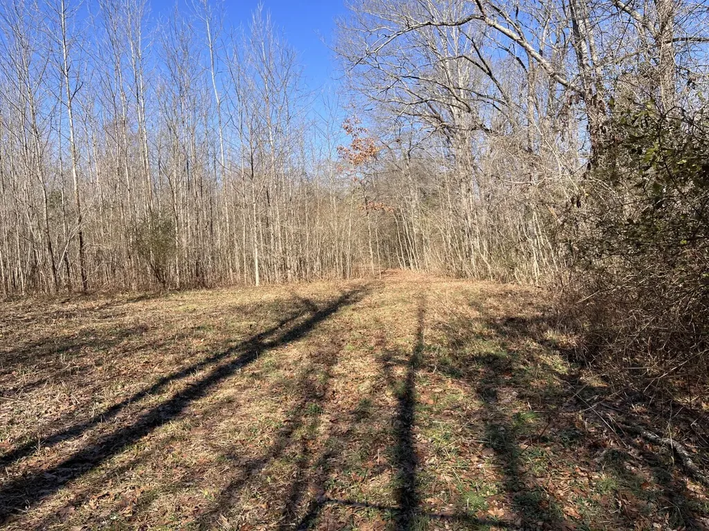 0 Highway 65 Swaim AL 35766