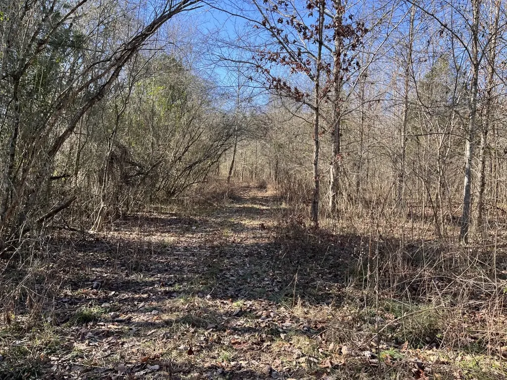 0 Highway 65 Swaim AL 35766