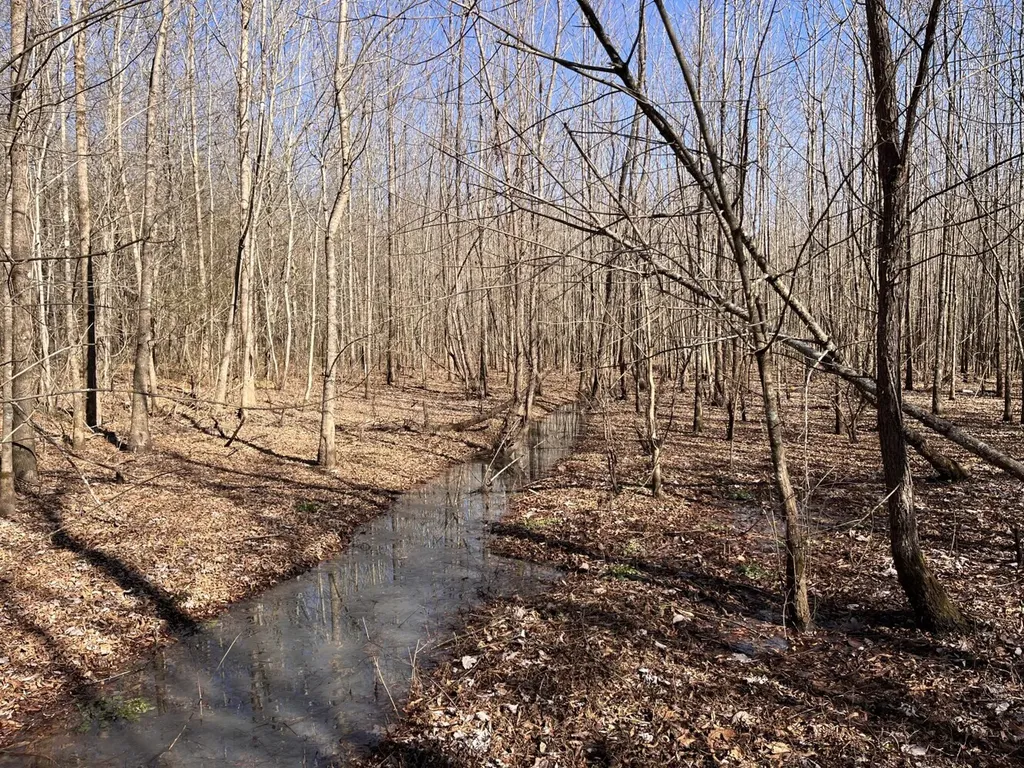0 Highway 65 Swaim AL 35766