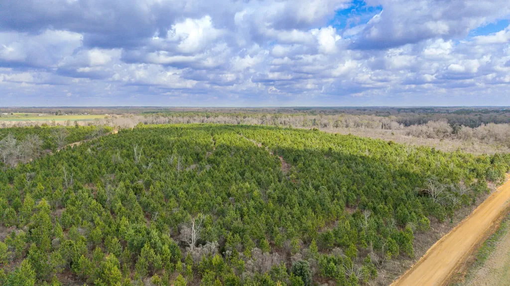 0 Highland Road Slocomb AL 36375