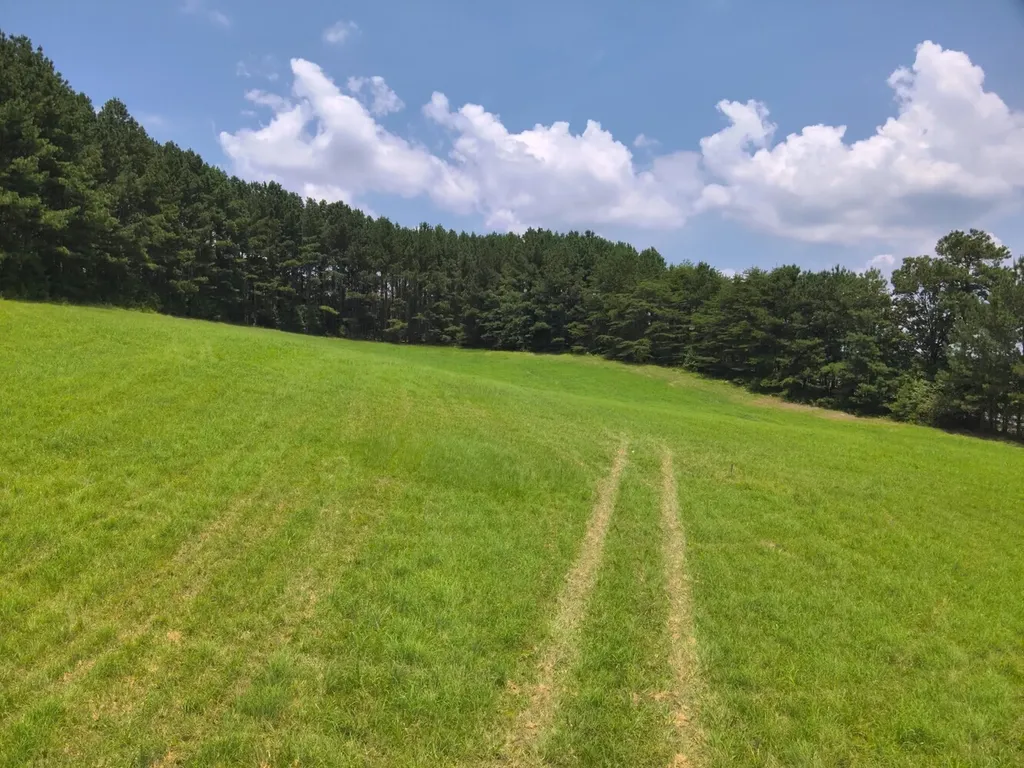 O Co Road 101 Crane Hill AL 35033