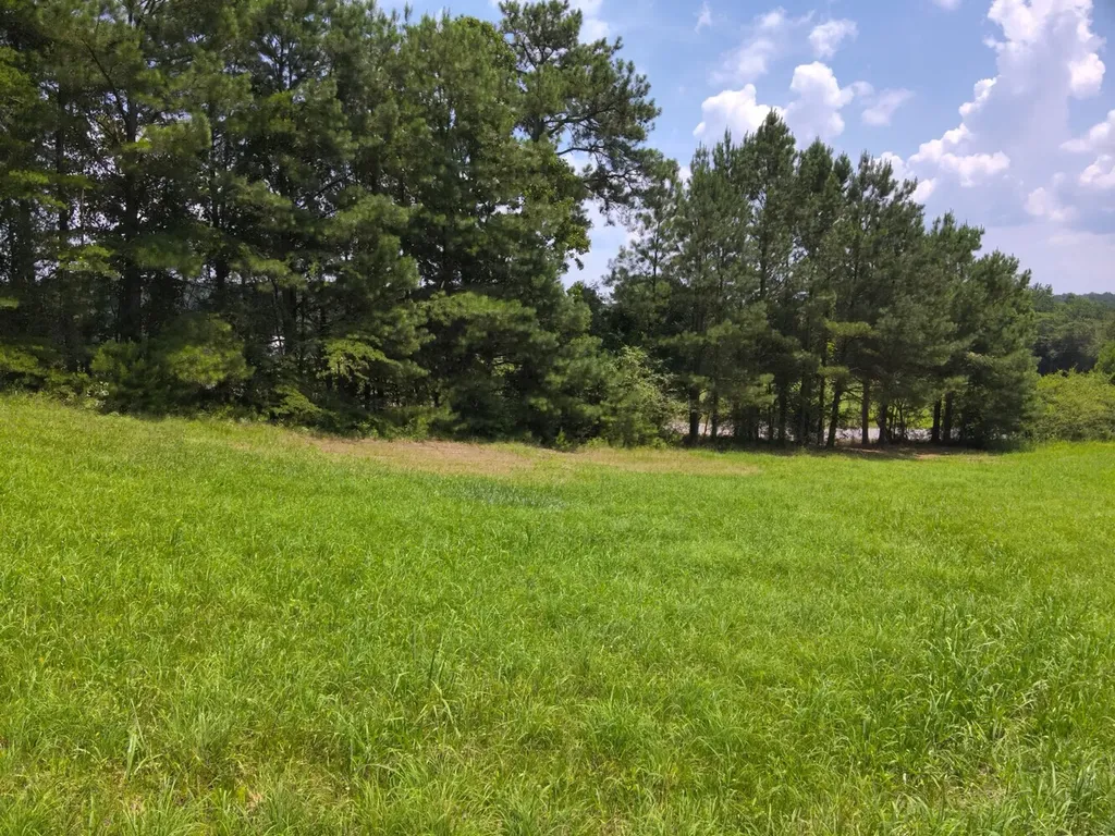 O Co Road 101 Crane Hill AL 35033