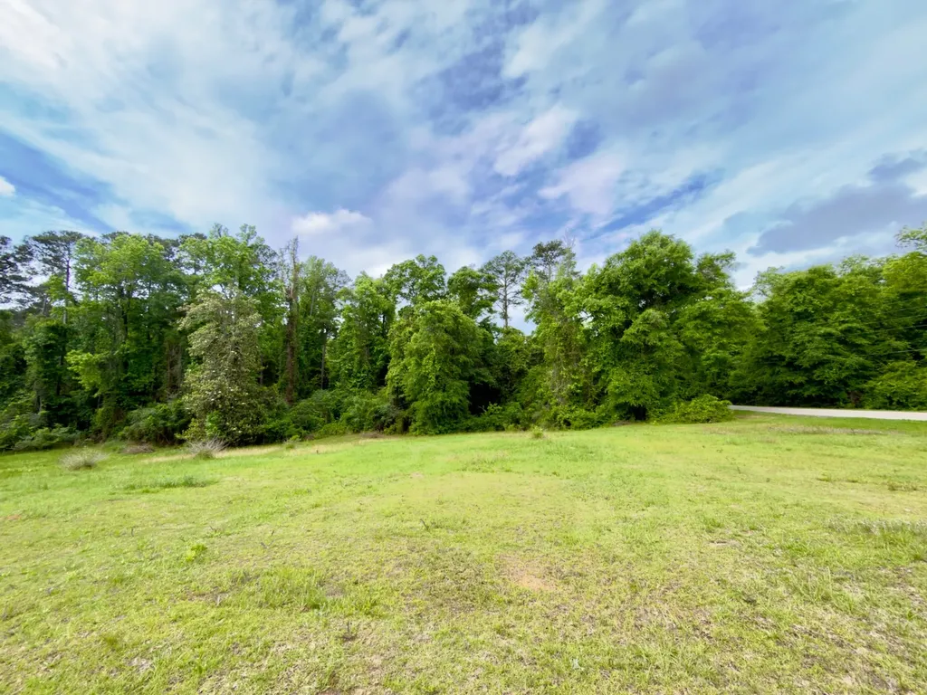 149 East Cobb Street Grove Hill AL 36451