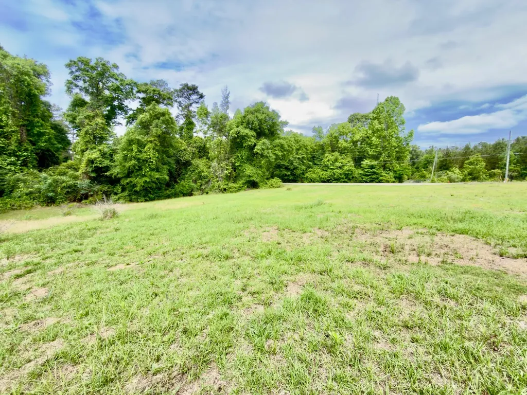 149 East Cobb Street Grove Hill AL 36451