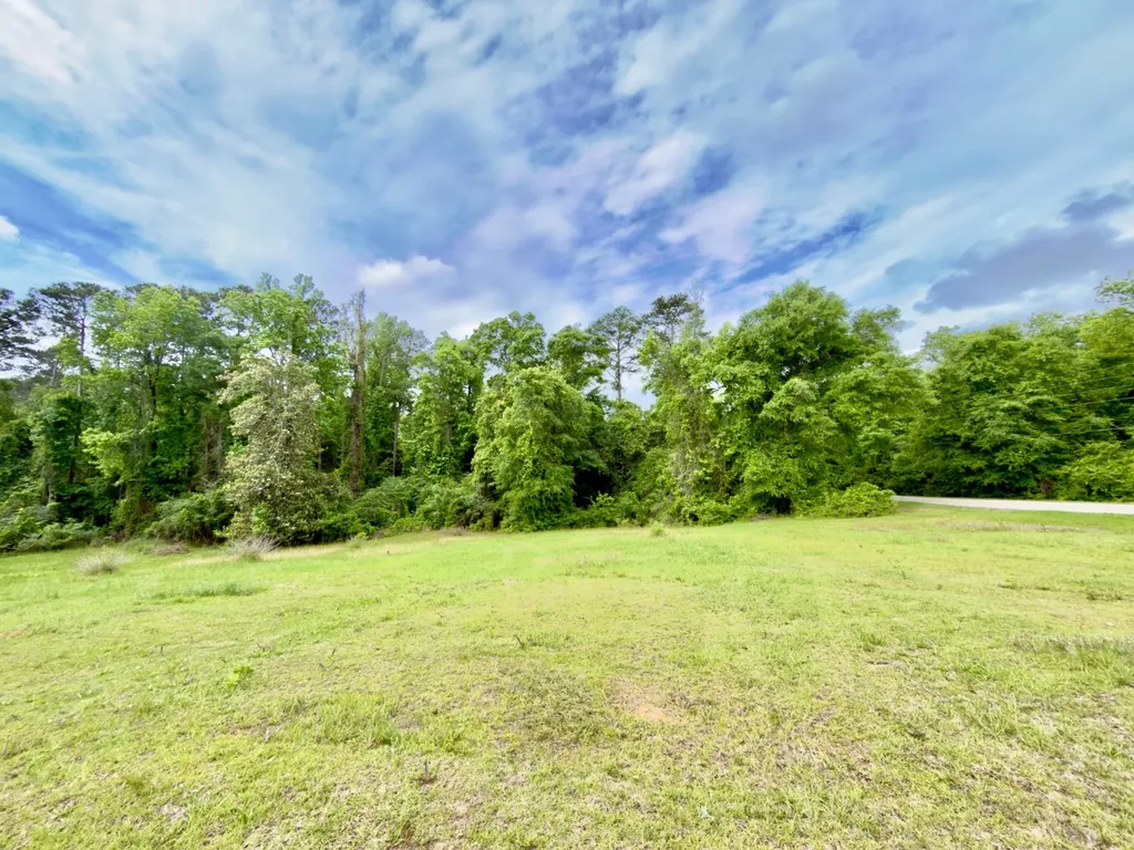 149 East Cobb Street Grove Hill AL 36451