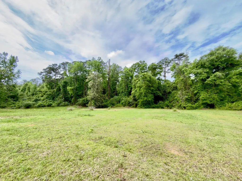 149 East Cobb Street Grove Hill AL 36451