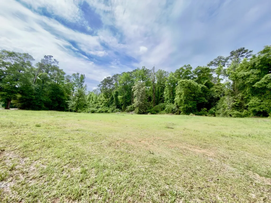 149 East Cobb Street Grove Hill AL 36451