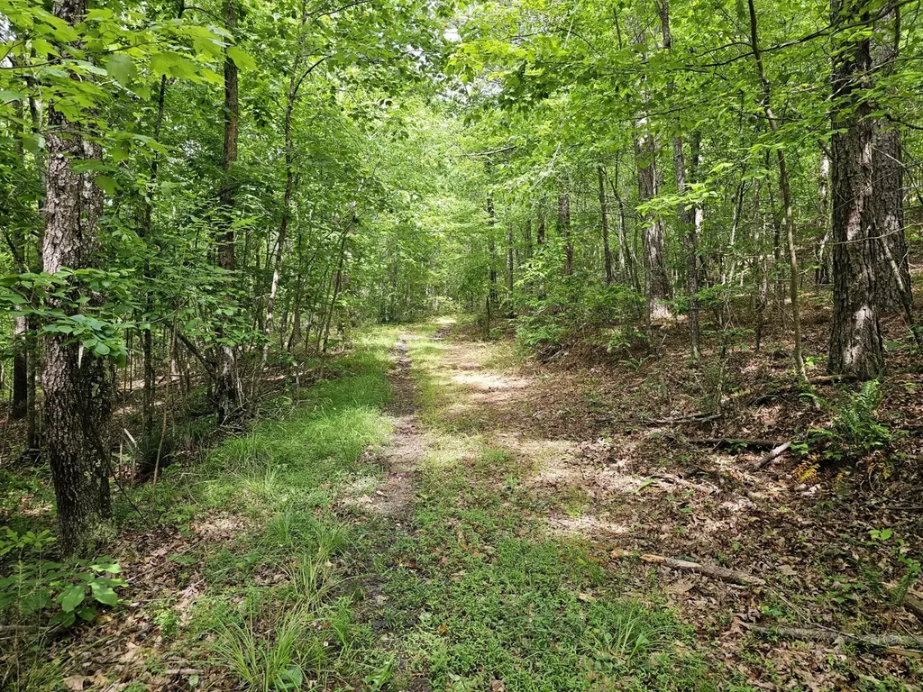 000Z Grover Davis Road Hamilton AL 35570