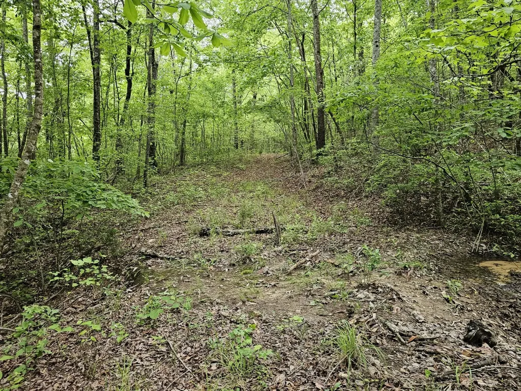 000Z Grover Davis Road Hamilton AL 35570