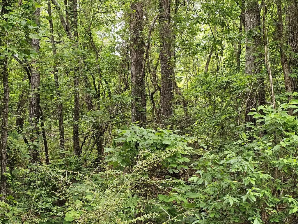 000Z Grover Davis Road Hamilton AL 35570