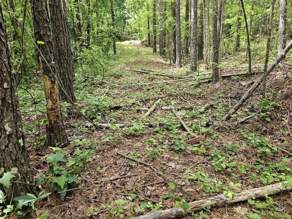000Z Grover Davis Road Hamilton AL 35570