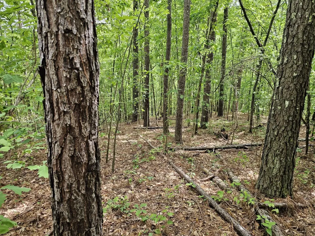 000Z Grover Davis Road Hamilton AL 35570