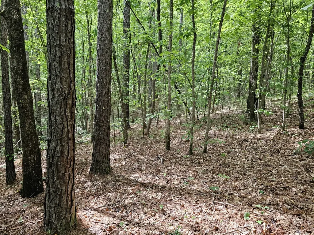 000Z Grover Davis Road Hamilton AL 35570