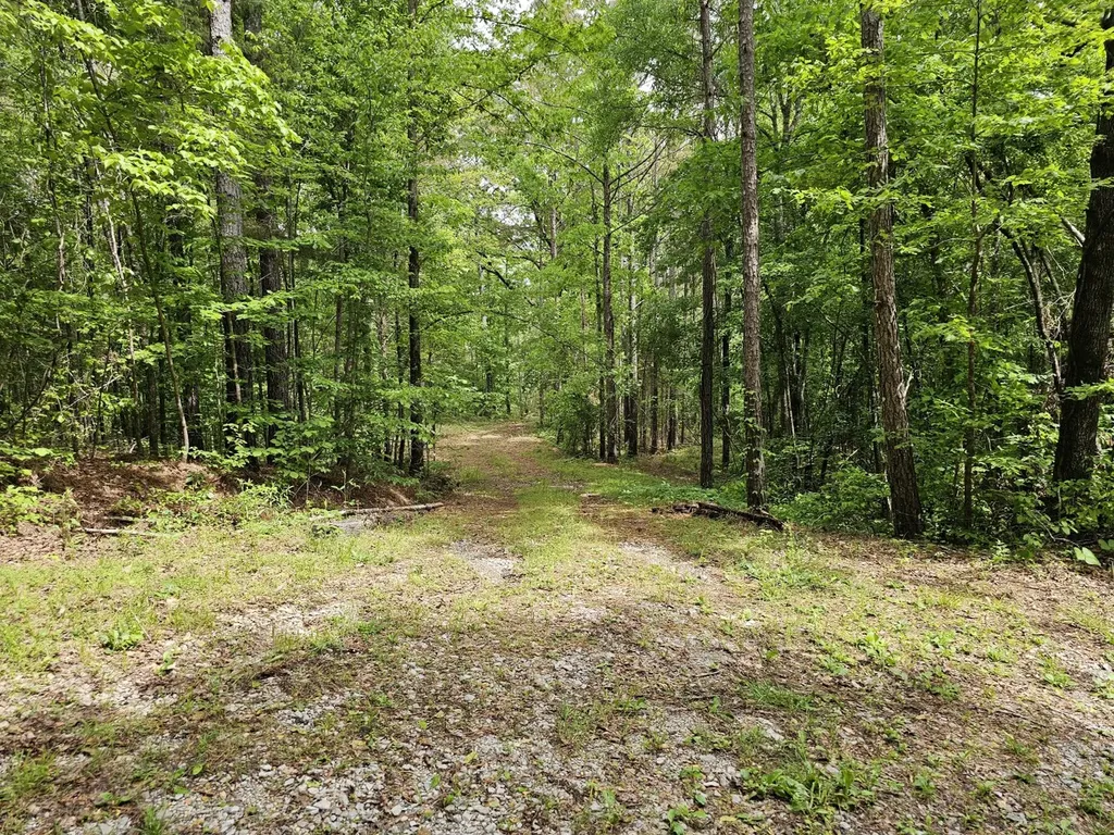 000Z Grover Davis Road Hamilton AL 35570