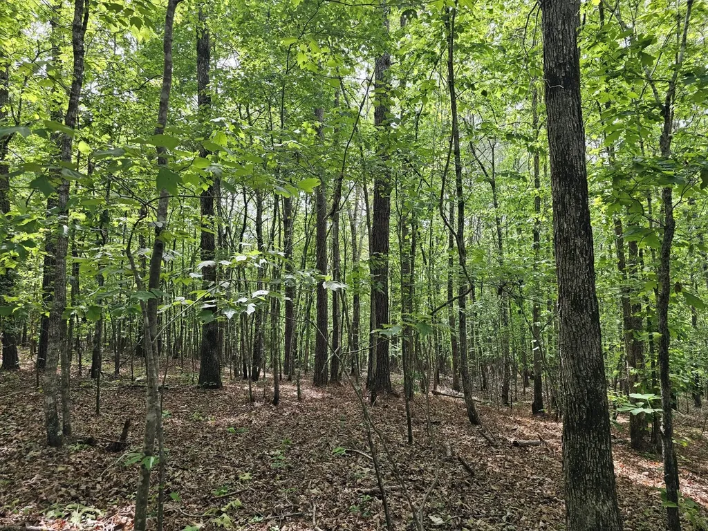 000Z Grover Davis Road Hamilton AL 35570