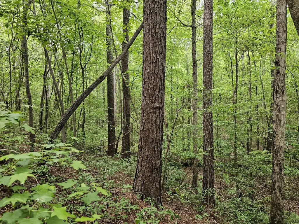 000Z Grover Davis Road Hamilton AL 35570