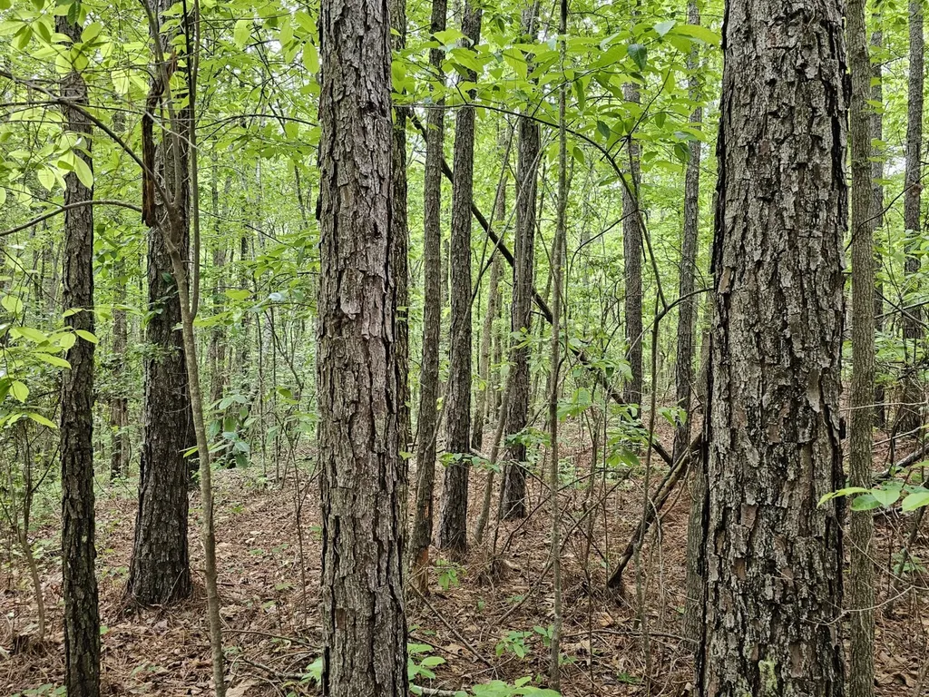000Z Grover Davis Road Hamilton AL 35570