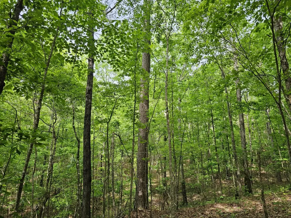 000Z Grover Davis Road Hamilton AL 35570