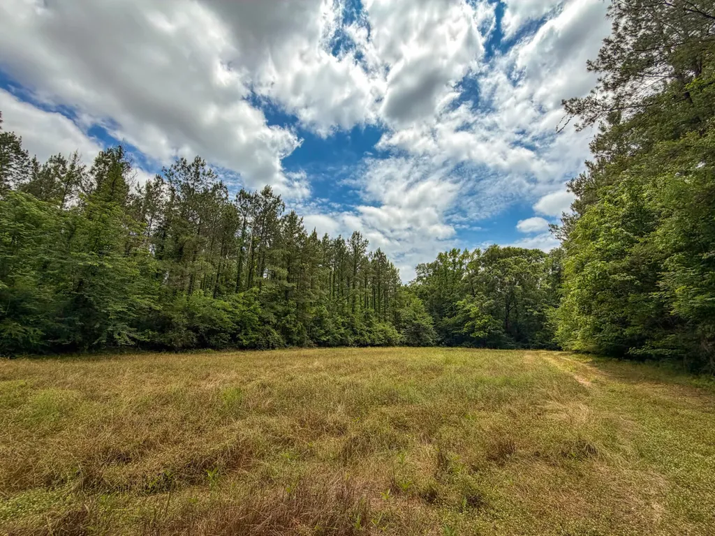 0 Highway 29 Marion Junction AL 36759